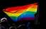 LPV ar "zaļzemnieku" atbalstu Saeimā virza grozījumus LGBT ierobežošanai