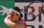 Sevastova cieš zaudējumu Slovākijas ITF W75 turnīra ceturtdaļfinālā