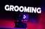 Oficiālajā saziņā terminu "grooming" aizstās ar "ievilināšana"
