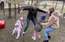 Pēc vētru postījumiem atkal atvērts "Tērvetes tīklu parks" un "Tarzāns"