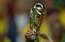 Sākas otrā spēļu kārta FIFA Pasaules kausā 2026