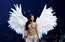 Kailija Dženere apstādina "Victoria’s Secret" šovu! Uz mēles iznāk 50 miljonu dolāru vērtā krūšturī