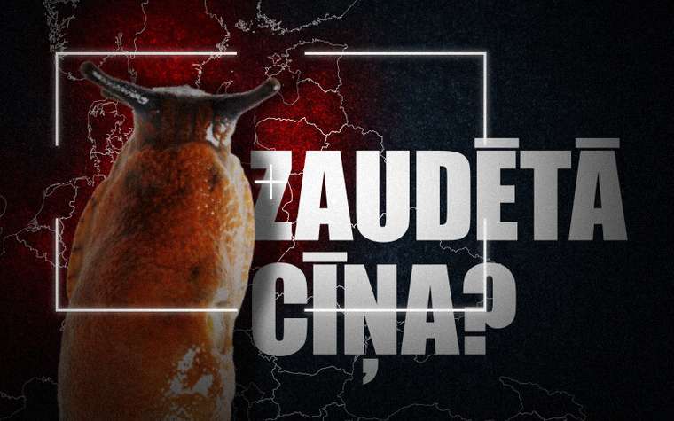 Tv3 project: Zaudētā cīņa?