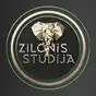 Zilonis studijā